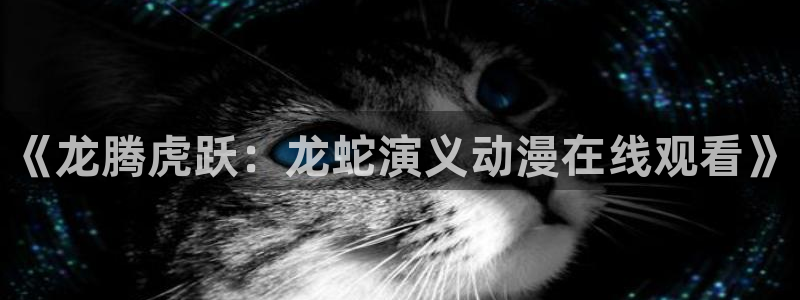 对魔忍雪风火狼动漫